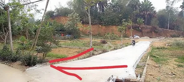 Cần bán nhanh lô đất 10x19m có 120m² đất ở còn lại đất trồng cây lâu năm