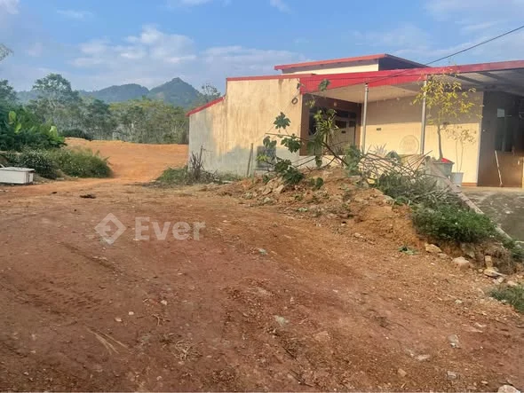 Đất chính chủ muốn bán mảnh đất…cách thịt chó gốc mít khoảng 400m.