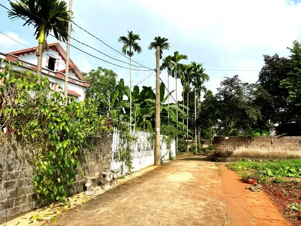 ĐẤT HAI MẶT TIỀN KHU CHÈ ĐEN - KHO 331 QUÂN ĐỘI - CHỢ SỐ 6