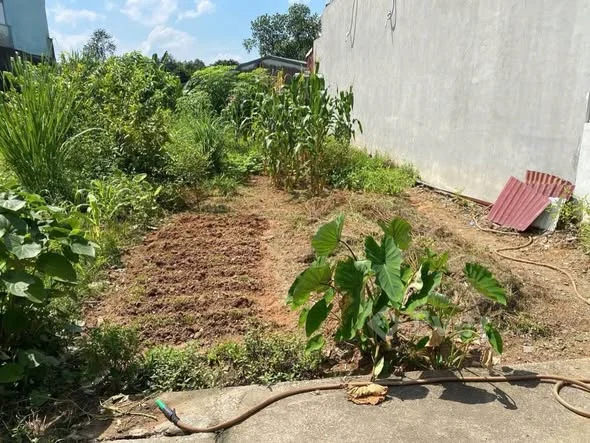 Ảnh bất động sản