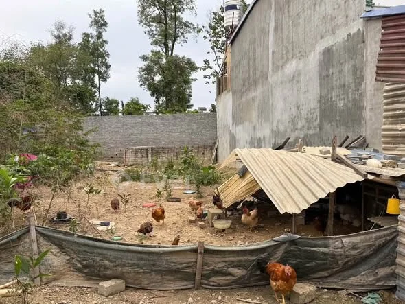 Đất lô 2 CMT8 Đi vào chỉ 1 Phút, Đường thông 2 Xe tránh nhau, Vị trí thuận tiện gần chợ Xây nhà hay