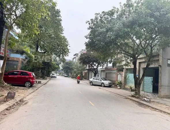 HỒ XƯƠNG RỒNG - Trục chính Hoa Trạng Nguyên- Diện tích 104m