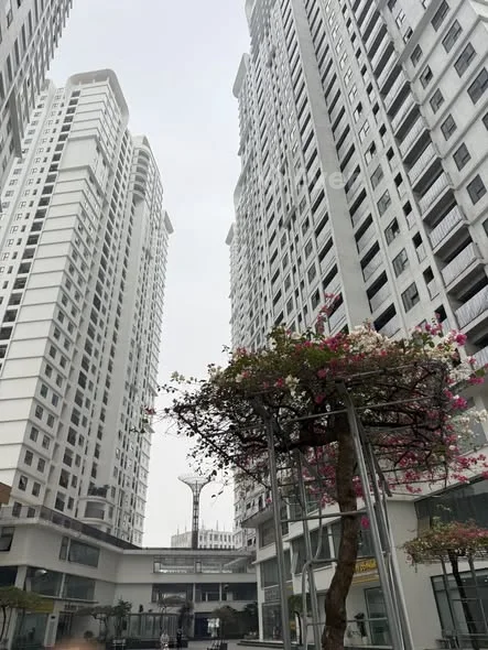 Ảnh bất động sản