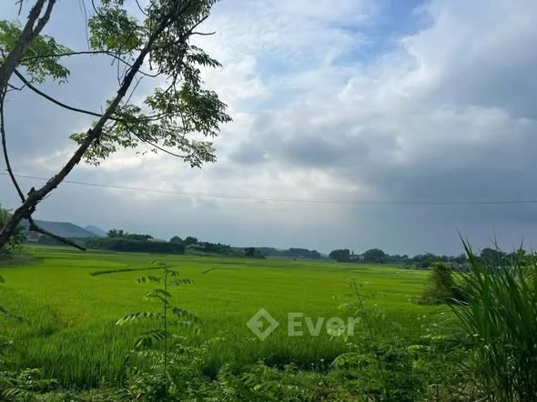 Hàng hot cực hiếm lô đất Bình sơn Sc. ( Tân cương mới) Dt: 4.547m. Tc: 1.330