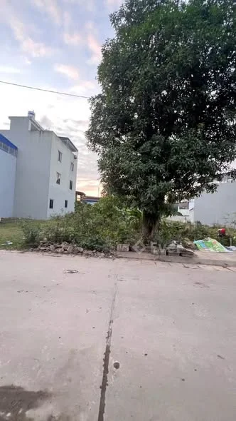 Ảnh bất động sản