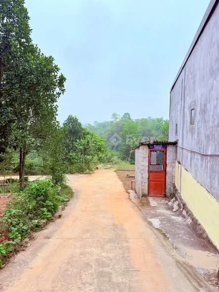 SIÊU PHẨM GIÁ TỐT – ĐẤT PHƯỜNG TÂN THÀNH (TÍCH LƯƠNG MỚI)