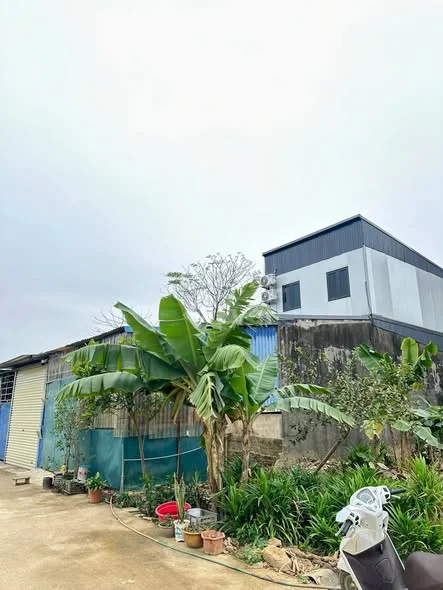 Bán lô đất ngay cạnh TĐC Đồng Bẩm Diện tích : 172m full thổ cư Chiều ngang 10m