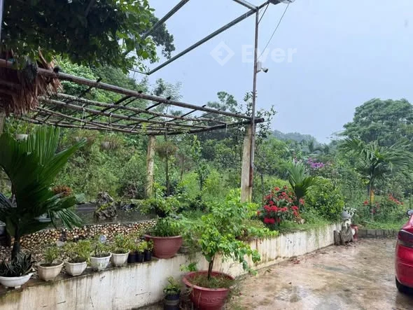 Em bán căn nhà vườn chill chill thuộc xã Vô Tranh, Thái Nguyên