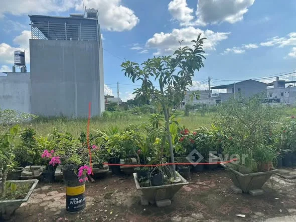 Ảnh bất động sản