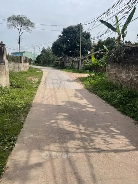 Đất phường tân Lập Lô đất gần đường Lê Hữu trác khu trường nghề phường tân lập