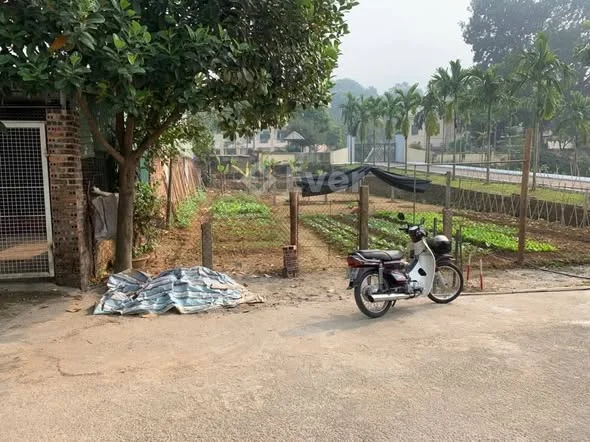 Ảnh bất động sản