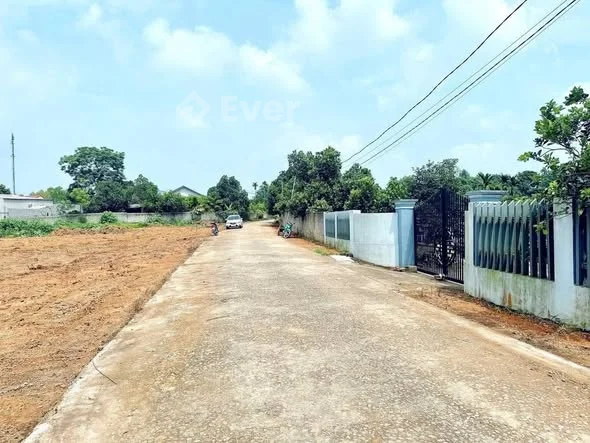 Chỉ từ 5xx- 6xx-7xx Khu 12 _ Tiên Kiên Lâm Thao Gần khu đấu giá Đường bê tông to rộng Khu vực tiềm n