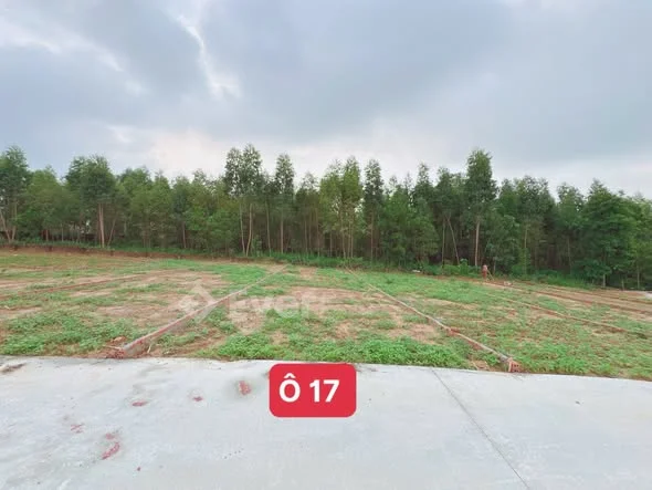 Chỉ từ 5xx- 6xx-7xx Khu 12 _ Tiên Kiên Lâm Thao
Gần khu đấu giá
Đường bê tông to rộng
Khu vực tiềm n