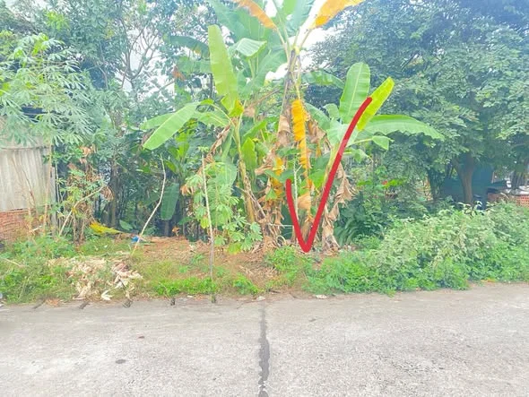 CẦN TIỀN BÁN LÔ ĐẤT XÓM MAI NGAY SÁT KHU ĐÔ THỊ NAM VIỆT