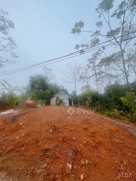 Gia đình có đất 100m cần bán ở Khu 7 Thanh Đình cách nvh khu 7 hơn trăm mét,đường thông tứ