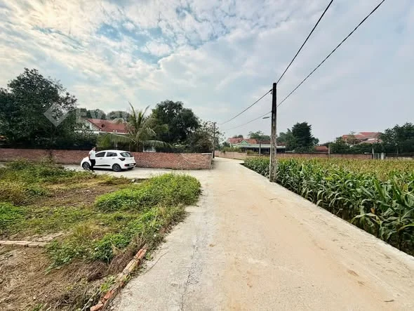 4 ô đất DT: 100m2 đến 115m2. Thuộc khu 14 Vạn Xuân - Tam Nông ( Lam Sơn cũ)