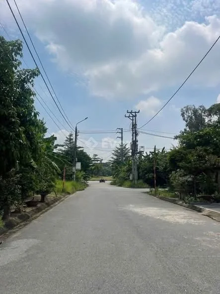 Lô đất đẹp long lanh giá cực sốc Băng 1 khu TĐC Rừng Cấm , cách đường phù đồng chỉ 30mS: 115m2