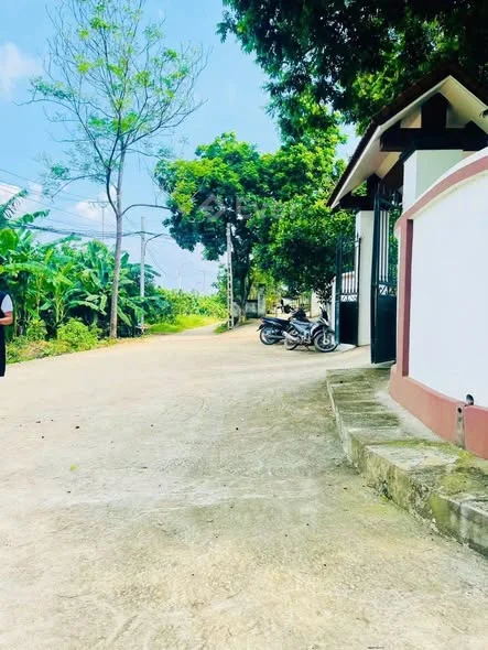 Bán ô đất khu 5 – Phường Vân Phú, TP Việt Trì, Phú Thọ • Tổng diện tích: 97,9m²