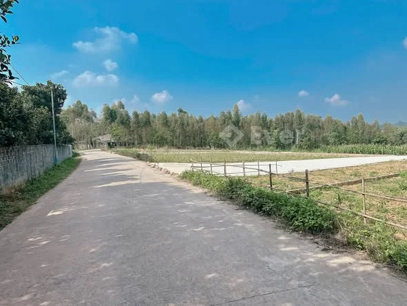 Bán đất khu 12 Tiên Kiên, Lâm Thao, Phú Thọ