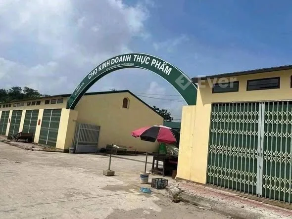 Duy nhất 1 lô đất đấu giá tại khu 8 Hương Nộn Tam Nông, Phú Thọ