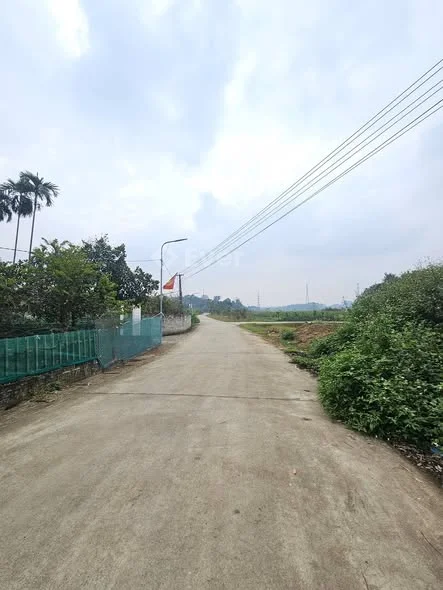 Cần tiền bán nhanh ô đất trục chính khu 8 Tiên Du ( Bình Phú)