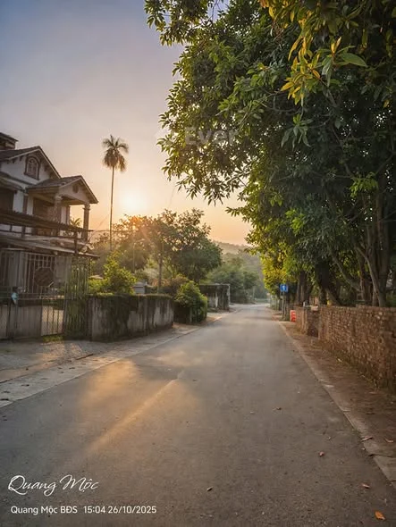 Cần tiền cho em zai đi xuất khẩu, em cho lên đường ô đất trục chính Thụy Vân, từ chợ Sheshin đi vào - Thỏa thuận - 98m²