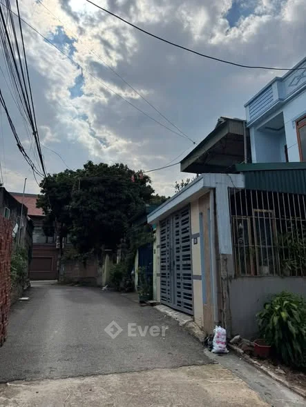 Đất Thanh Miếu – Việt Trì DT: 146,6m² | MT 4,85m | 100m² thổ cư |