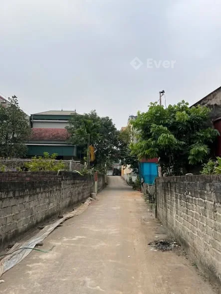 BÁN LÔ ĐẤT THỊ TRẤN THANH THỦY•Diện tích: 136m có 100 ONT còn lại CLN