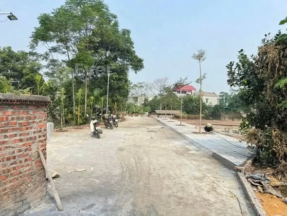 Chính chủ bán lô đất ở khu12, Lam Sơn, Tam Nông, Phú Thọ ( Vạn Xuân mới)