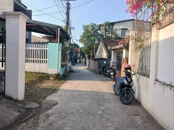 Cần bán ô đất thuôc khu 4 Trưng Vương,ngõ 203 đg Ng văn Linh,cách khu Nam Viêt tầm 150m