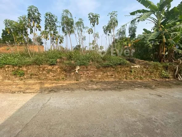 BÁN ĐẤT 2 MẶT TIỀN – KHU 3 PHƯỜNG PHONG CHÂU – GẦN KCN PHÚ HÀ