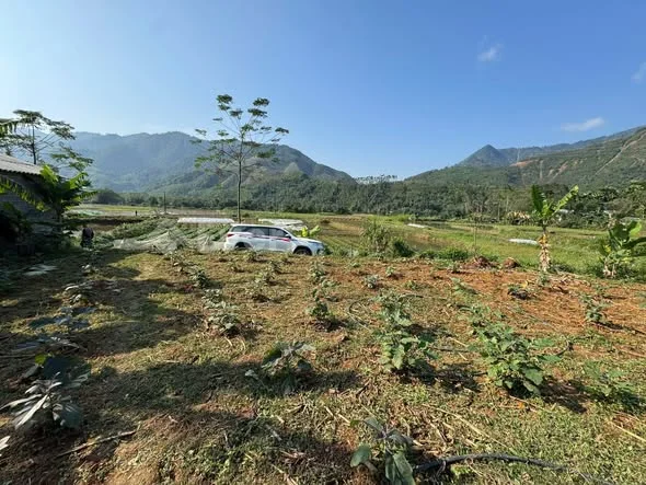 Bán lô đất nghỉ dưỡng siêu thổ cư view cánh đồng tại Mỹ Lung, Yên Lập, Phú Thọ