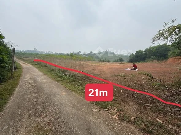 Bán đất Chí Tiên - Thanh Ba DT 967m2 mặt tiền 21m trong đó có 150m2 thổ cư + cln Gần khu công nghiệp