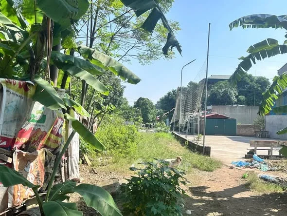 Ảnh bất động sản