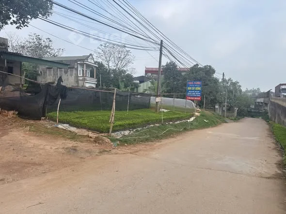 B...án đất khu 10 Phù Ninh Diện tích 100m2 mặt hơn 5m Hướng đông bắc