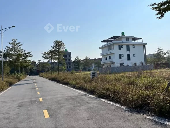 Bán đất sổ đỏ dự án Dabaco Thuận Thành, Phường Thuận Thành.Diện tích: 250 m2.