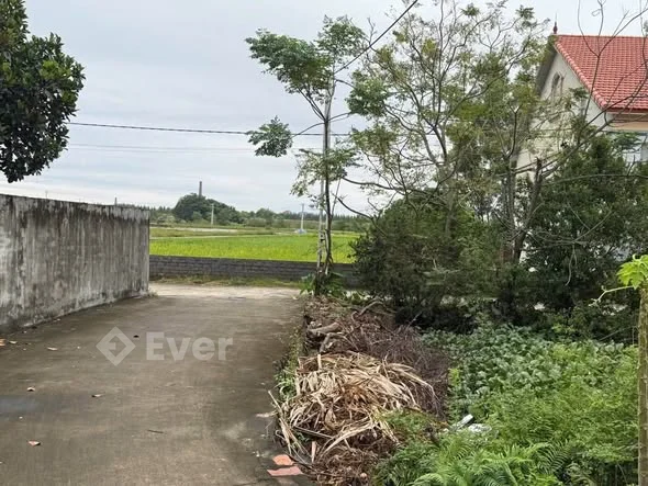 , Tdp ngọc Sơn .Quỳnh sơn nay là phường tân an, bắc ninh diện tích trên 145mét, thổ cư 80m