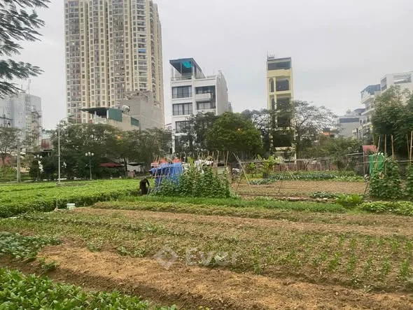 BÁN Ô ĐẤT KHẢ LỄ 3 NHÌN VƯỜN HOA HƯỚNH ĐÔNG NAM Diện tích 81m2.