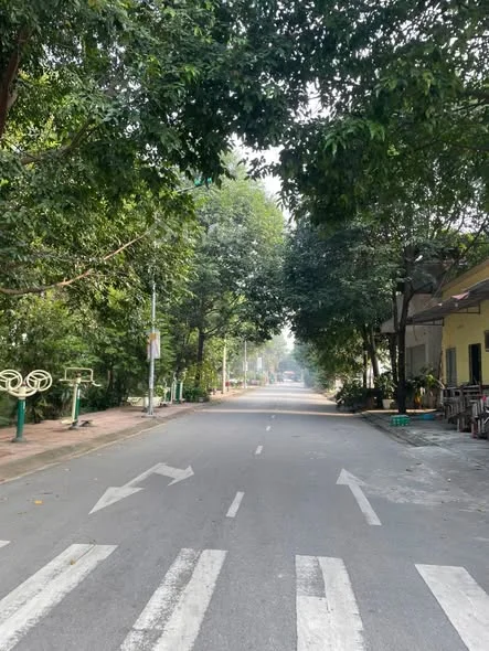 Bán Lô Đất Giãn Dân Bãi Nếp Hòa Đình ,Phường Võ Cường TP Bắc Ninh DT 98.9m2