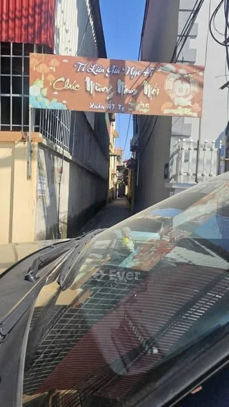 Chính chủ E cần bán lô đất tại Địa Chỉ : Dương Lôi - Tân Hồng - Từ Sơn - Bắc Ninh