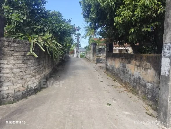 Cần bán lô đất vườn tại Thanh Lương-Quang Thịnh-Lạng Giang-