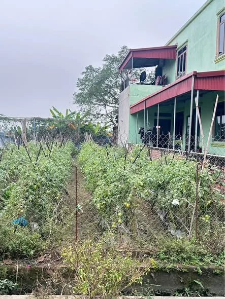 Ảnh bất động sản