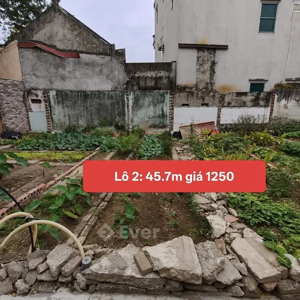 Ảnh bất động sản