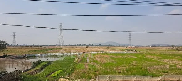 B.án đất La Miệt - Yên Giả - Quế Võ - Bắc Ninh Đường ô tô tránh xe máy, 20m ra trục chính 2 ô tô