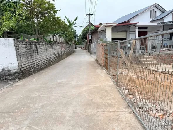 Fo đẹp thế này, lại còn cọc dài lướt thoải mái. Đã bán 1 còn 2 lô cho NĐT nhanh tay ạ!! 9xx