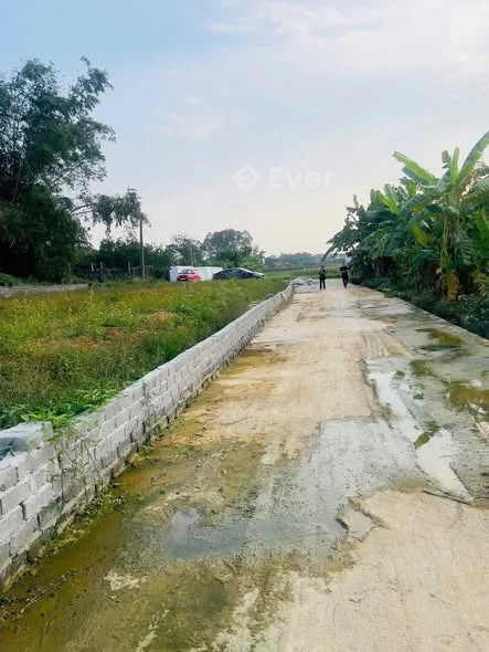 Đất giáp thị trấn Thắng- Hiệp Hoà- BG cũ. Diện tích 140m2 với mt hơn 13m vuông