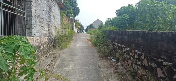 Chính chủ gửi bán lô đất Hữu Bằng- Ngọc Xá- Quế Võ- Bắc NinhDT: 180m2MT: 7m