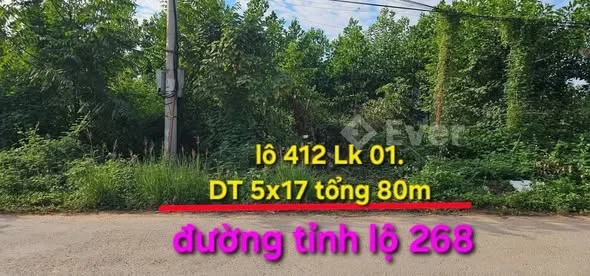 Đất đấu giá Khu dân cư trung tâm xã Đồng Vương - Yên Thế - Bắc Giang