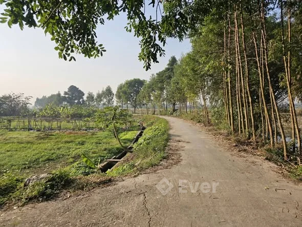 Hàng đẹp giá rẻ . Phú xuân kim chân mặt kênh Diện tích 161m Mặt tiền 7,2 m - Thỏa thuận - 161m²