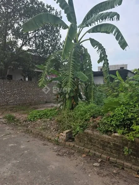 Ra hàng lô thổ cư TDP Tam Á, - Thuận Thành- Bắc Ninh, diện tích 92.2m², mặt tiền 6m